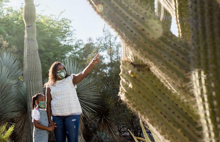 2. Desert Botanical Garden, Phoenix